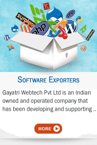 Software development