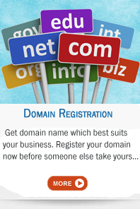Web Hosting